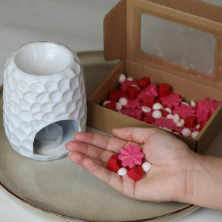Wax Melts + Burners